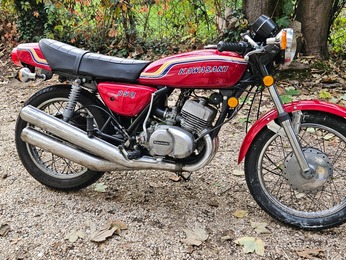 S1 250 KAWASAKI ROUGE